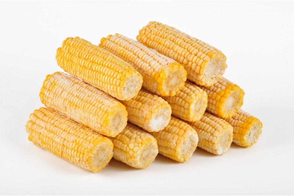 Сладость кукурузу. Кукуруза в початках заморозка. Кукуруза сладкая в початках. Кукуруза в початках с/м. Кукуруза сахарная початки 1 кг.