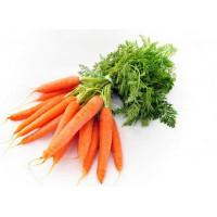 Морковь 1-й сорт