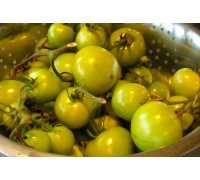 Бочковые зелёные помидоры