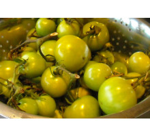 Бочковые зелёные помидоры